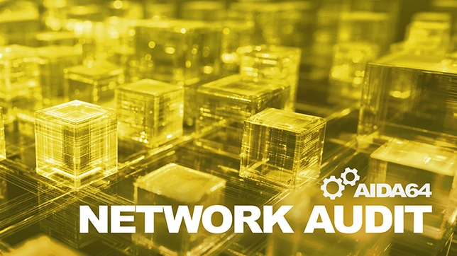 AIDA64 Network Audit