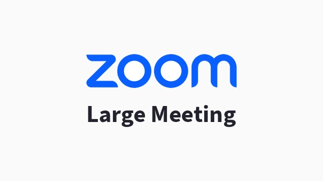 Zoom Large Meeting